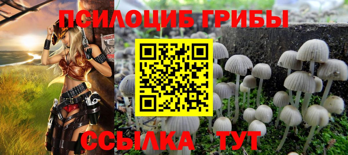Будённовск  Псилоцибиновые грибы ЛСД  Вход с VPN 