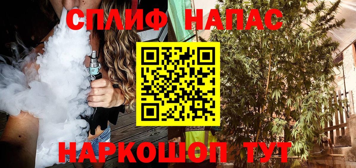 Канабис MAZAR Будённовск